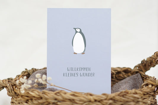 Kleines Wunder – Pinguin