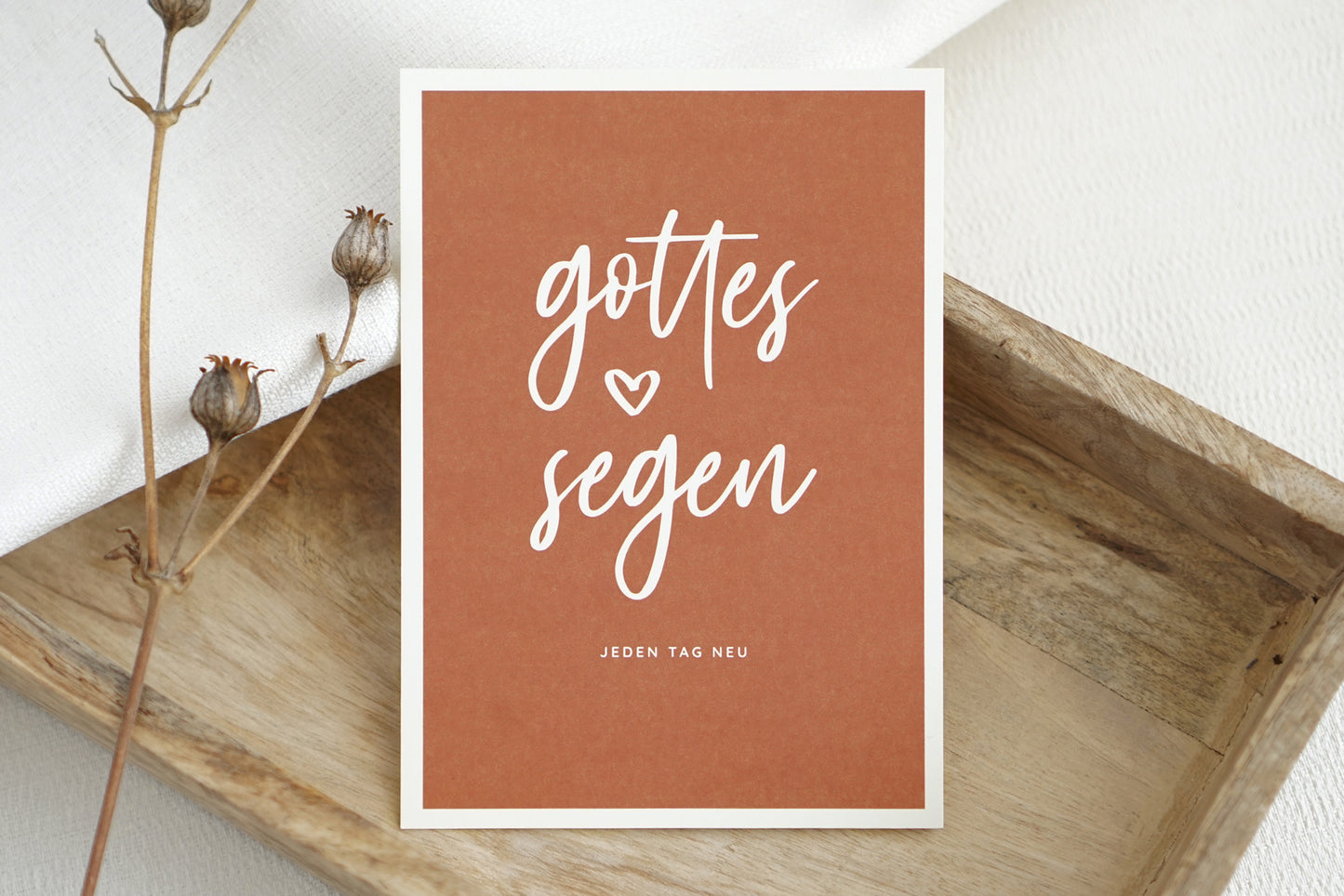 Gottes Segen – Jeden Tag Neu